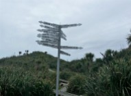 cape-foulwind-signs